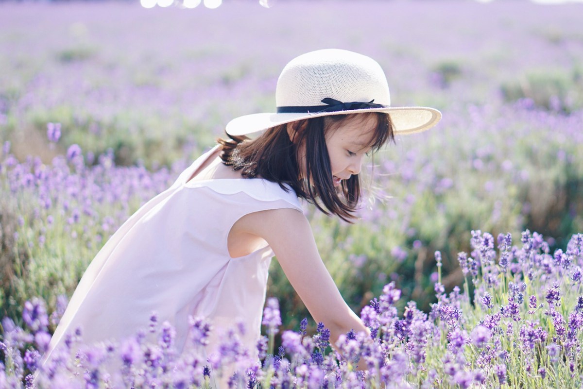 Petal Collar Summer&nbsp;Dress